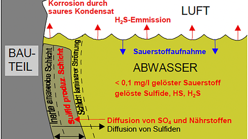Schematische Darstellung der Prozesse im Abwasserkanal: Darstellung anaerober Zustand - Seit der Belüftung mit Drausy ist das Geruchsproblem behoben.